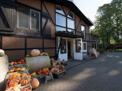 Foto: Brunnenhof in der Ried